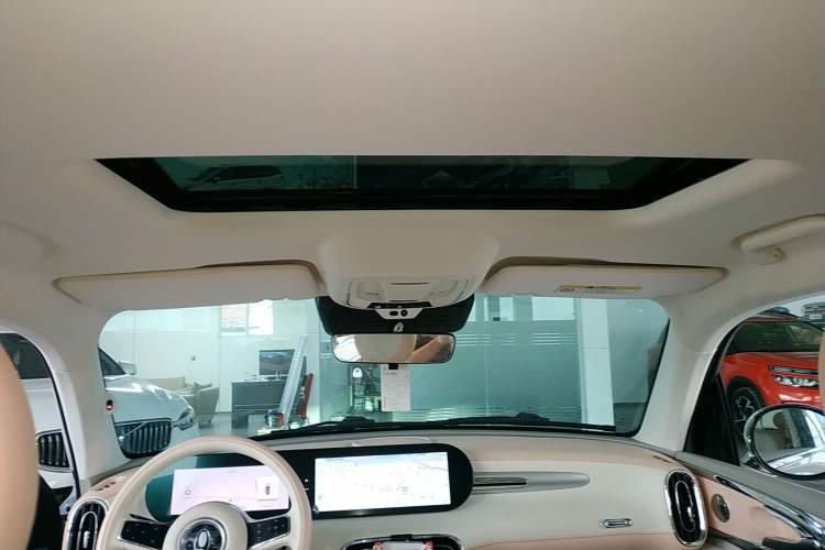 Used ORA Ballet Cat 2022 500 km Swan Lake Edition Headliner