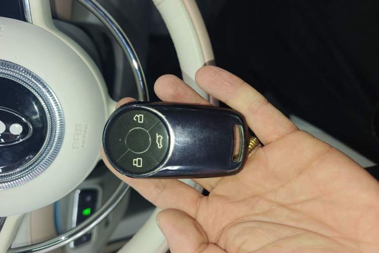 Used ORA Ballet Cat 2022 401 km Nutcracker Edition Interior 1