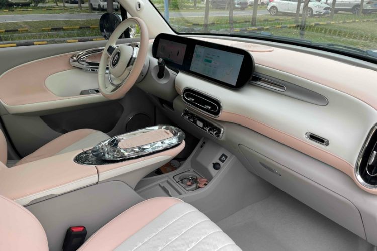 Used ORA Ballet Cat 2022 401 km Nutcracker Edition Interior 10
