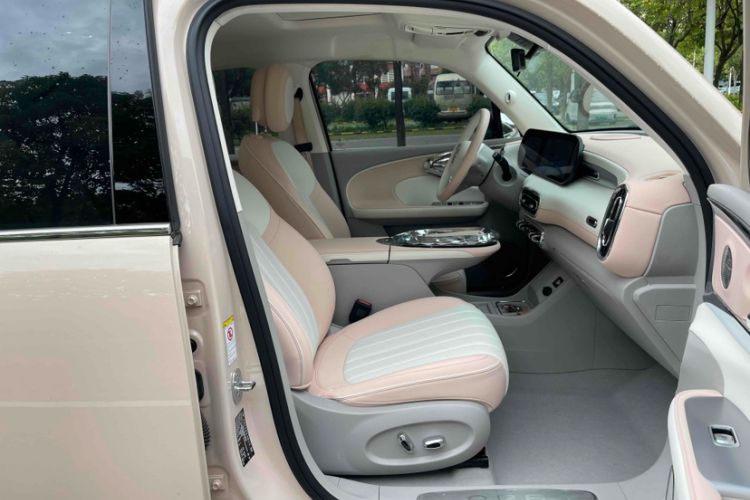 Used ORA Ballet Cat 2022 401 km Nutcracker Edition Interior 11