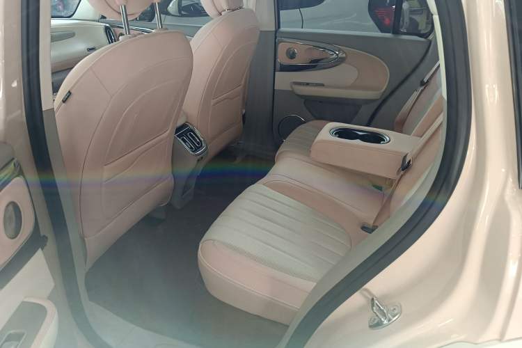 Used ORA Ballet Cat 2022 401 km Nutcracker Edition Interior 2