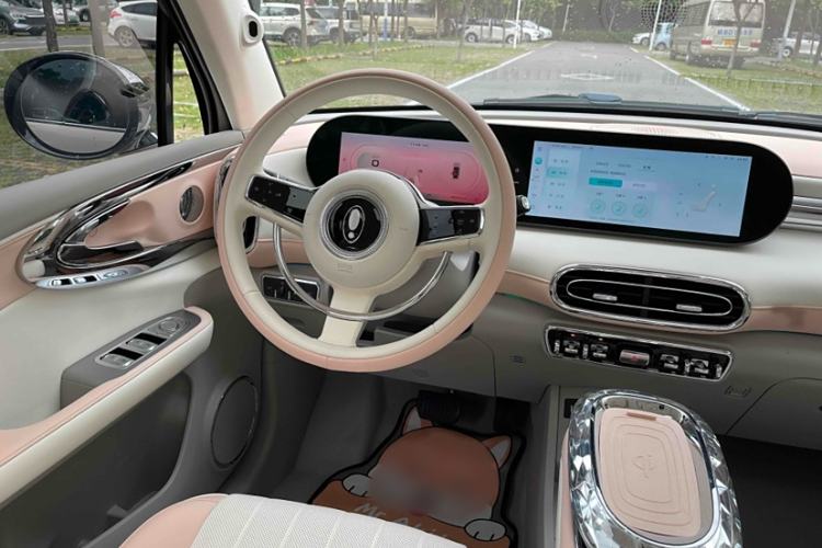 Used ORA Ballet Cat 2022 401 km Nutcracker Edition Interior 3