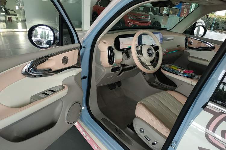 Used ORA Ballet Cat 2022 500 km Swan Lake Edition Interior 3