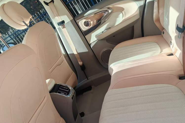 Used ORA Ballet Cat 2022 401 km Nutcracker Edition Interior 4