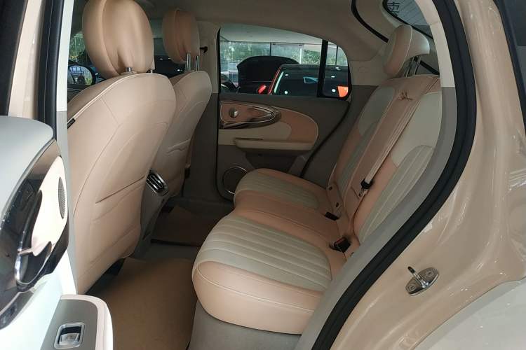 Used ORA Ballet Cat 2022 401 km Nutcracker Edition Interior 4