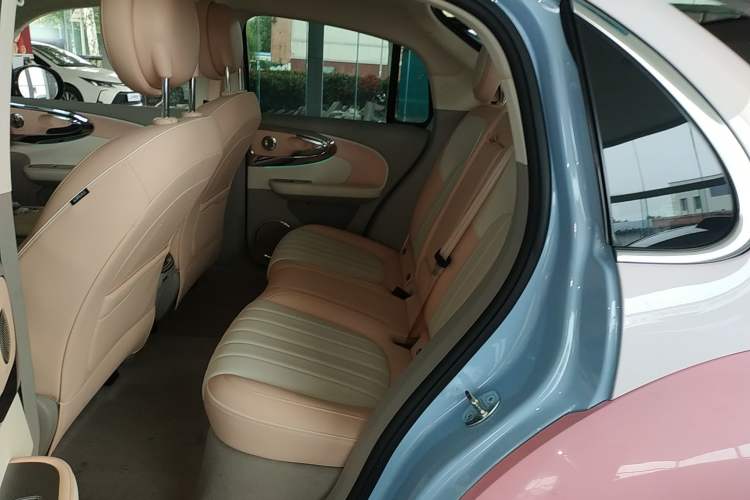 Used ORA Ballet Cat 2022 500 km Swan Lake Edition Interior 4
