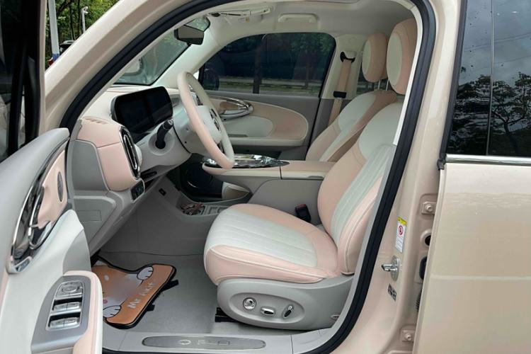 Used ORA Ballet Cat 2022 401 km Nutcracker Edition Interior 6
