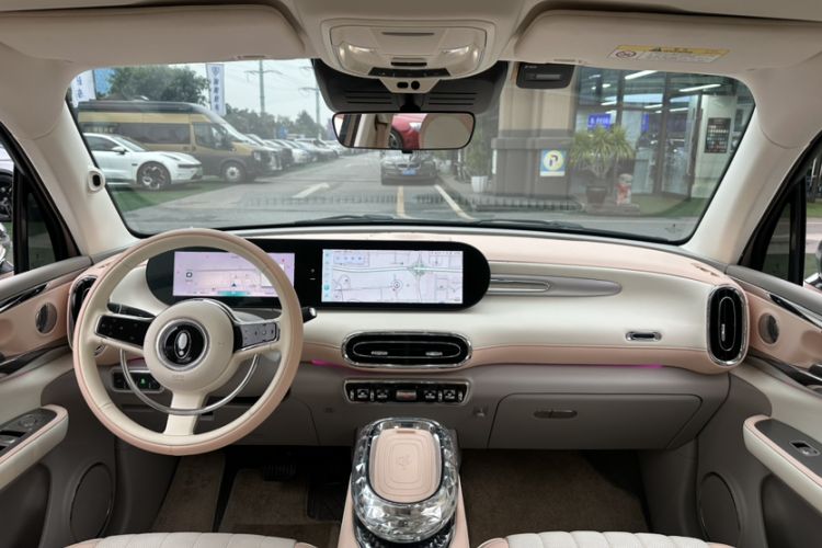 Used ORA Ballet Cat 2022 401 km Nutcracker Edition Interior 6