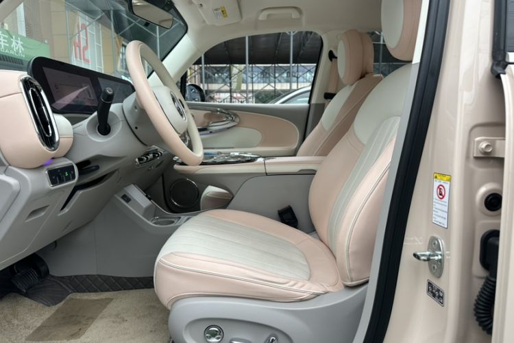 Used ORA Ballet Cat 2022 401 km Nutcracker Edition Interior 9
