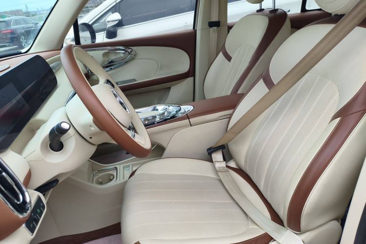 Used ORA Ballet Cat 2022 401 km Nutcracker Edition Left Front Seat