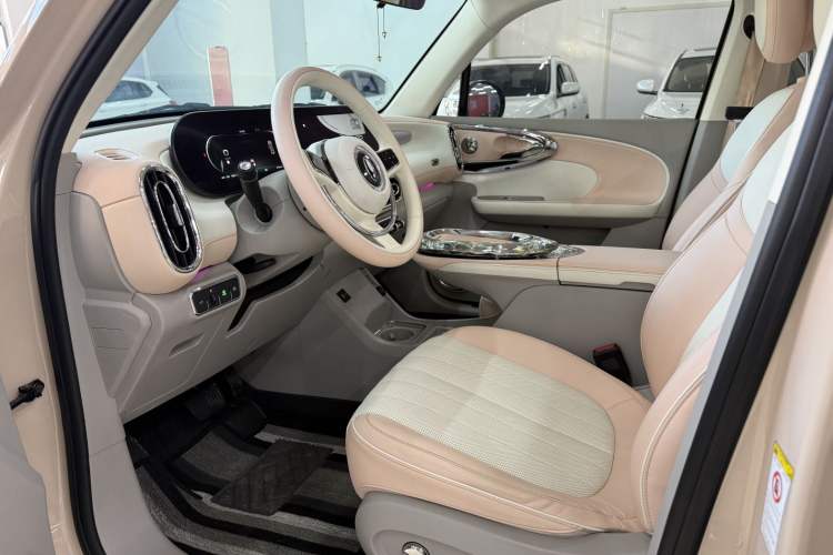 Used ORA Ballet Cat 2022 401 km Nutcracker Edition Left Front Seat