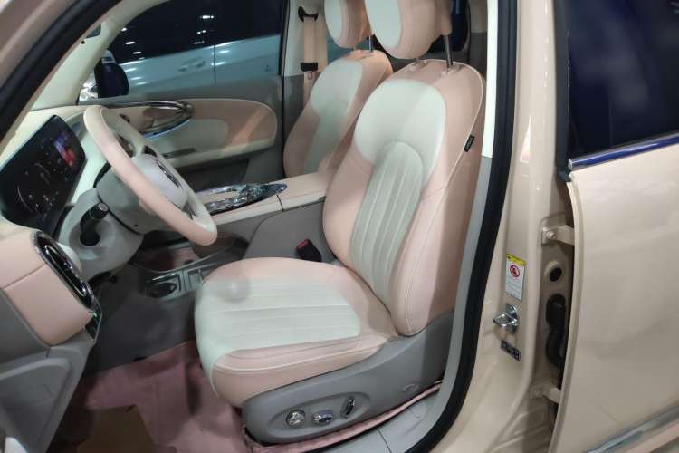 Used ORA Ballet Cat 2022 401 km Nutcracker Edition Left Front Seat