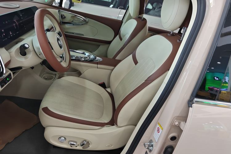 Used ORA Ballet Cat 2022 401 km Nutcracker Edition Left Front Seat