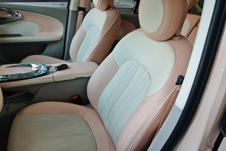 Used ORA Ballet Cat 2022 401 km Nutcracker Edition Left Front Seat