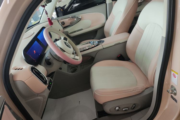 Used ORA Ballet Cat 2022 401 km Nutcracker Edition Left Front Seat
