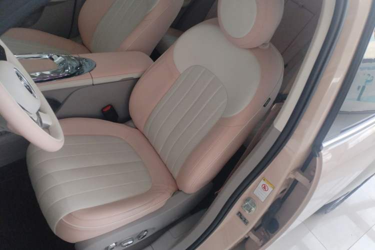 Used ORA Ballet Cat 2022 401 km Nutcracker Edition Left Front Seat