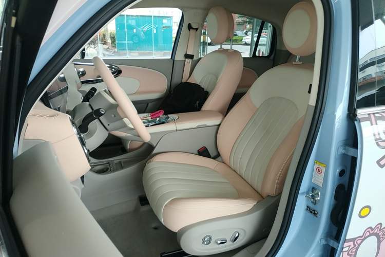 Used ORA Ballet Cat 2022 500 km Swan Lake Edition Left Front Seat
