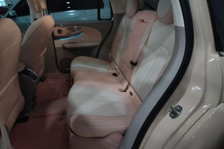 Used ORA Ballet Cat 2022 401 km Nutcracker Edition Left Rear Seat