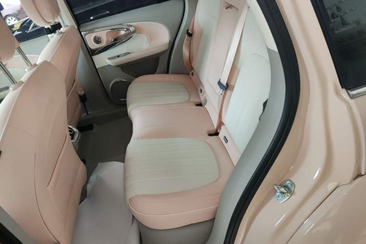 Used ORA Ballet Cat 2022 401 km Nutcracker Edition Left Rear Seat
