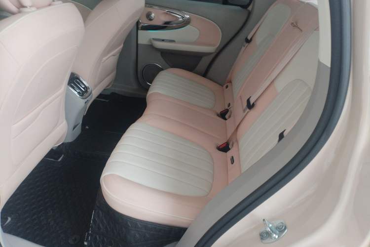 Used ORA Ballet Cat 2022 401 km Nutcracker Edition Left Rear Seat