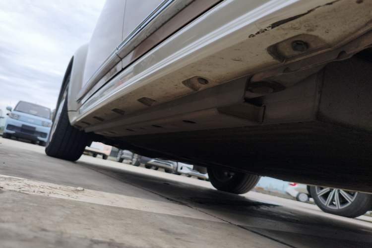 Used ORA Ballet Cat 2022 401 km Nutcracker Edition Left Side Sill