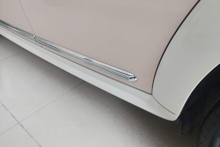 Used ORA Ballet Cat 2022 401 km Nutcracker Edition Left Side Sill