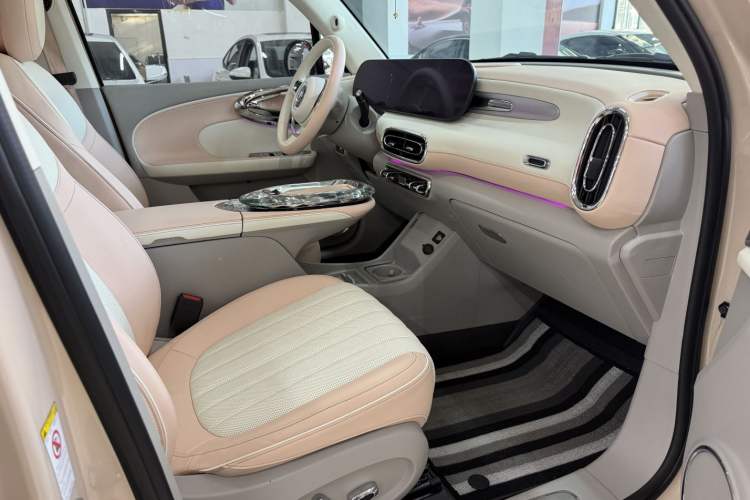 Used ORA Ballet Cat 2022 401 km Nutcracker Edition Right Front Seat