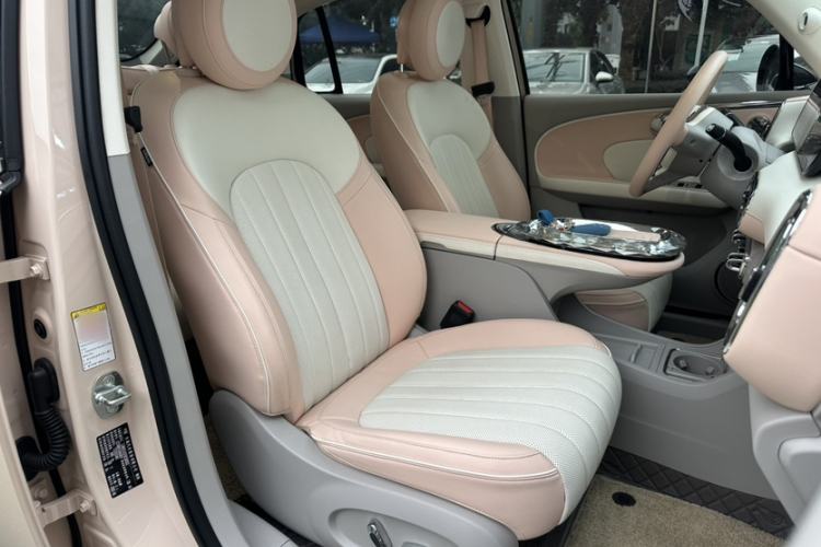 Used ORA Ballet Cat 2022 401 km Nutcracker Edition Right Front Seat