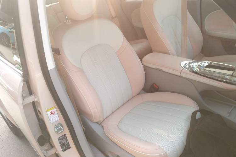 Used ORA Ballet Cat 2022 401 km Nutcracker Edition Right Front Seat