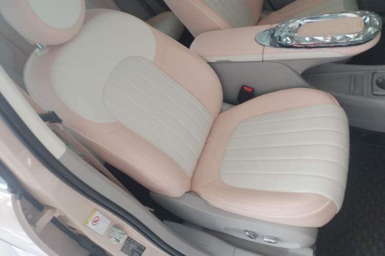 Used ORA Ballet Cat 2022 401 km Nutcracker Edition Right Front Seat