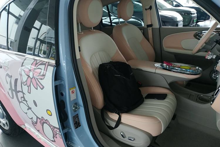 Used ORA Ballet Cat 2022 500 km Swan Lake Edition Right Front Seat