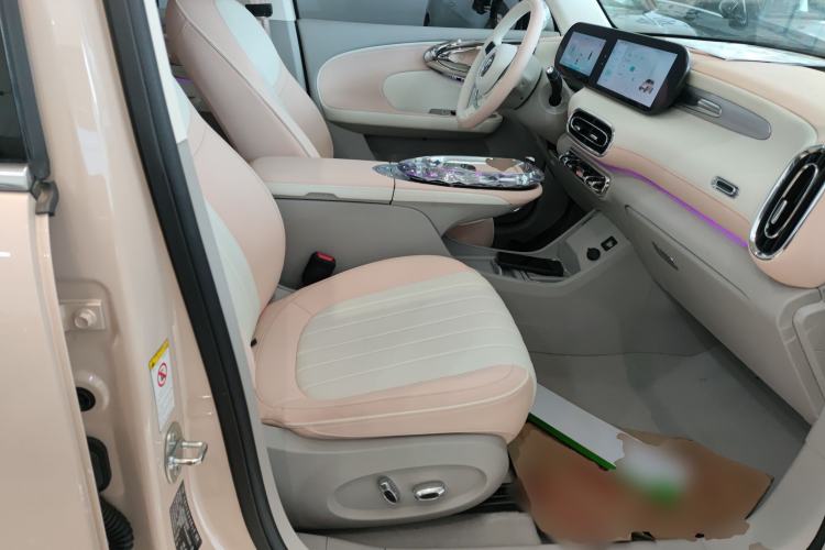 Used ORA Ballet Cat 2022 401 km Nutcracker Edition Right Front Seat