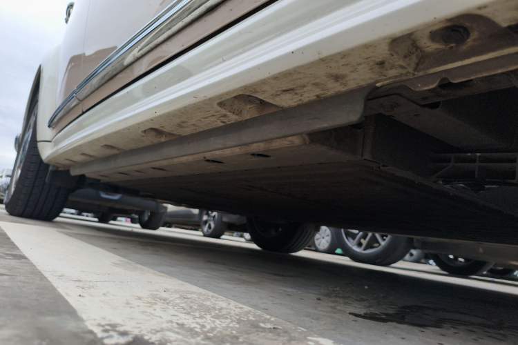 Used ORA Ballet Cat 2022 401 km Nutcracker Edition Right Side Sill