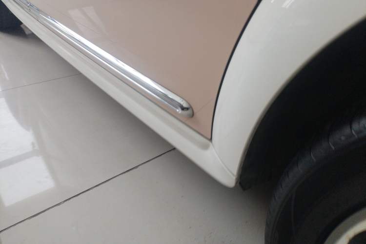 Used ORA Ballet Cat 2022 401 km Nutcracker Edition Right Side Sill