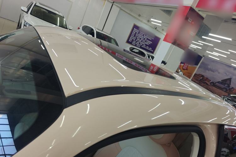 Used ORA Ballet Cat 2022 401 km Nutcracker Edition Roof
