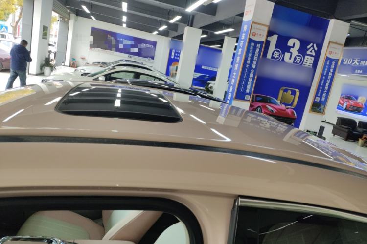 Used ORA Ballet Cat 2022 401 km Nutcracker Edition Roof