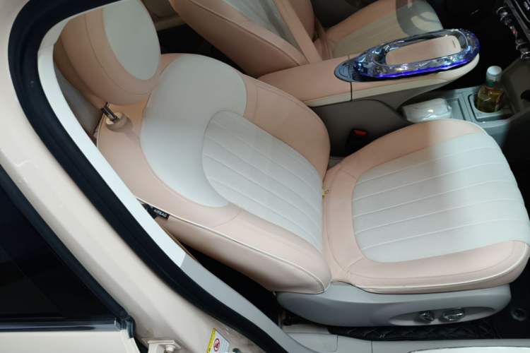 Used ORA Ballet Cat 2022 401 km Nutcracker Edition Right Front Seat