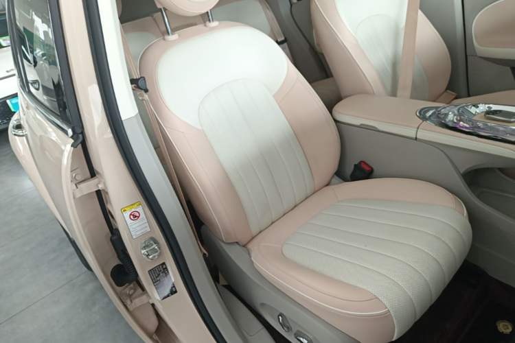 Used ORA Ballet Cat 2022 401 km Nutcracker Edition Right Front Seat