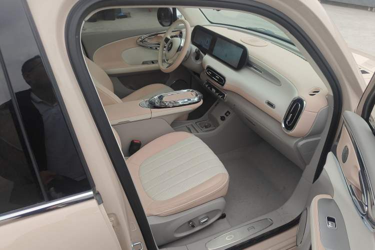 Used ORA Ballet Cat 2022 401 km Nutcracker Edition Right Front Seat