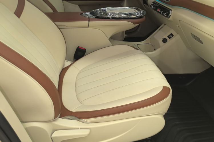 Used ORA Ballet Cat 2022 401 km Alice Edition Right Front Seat