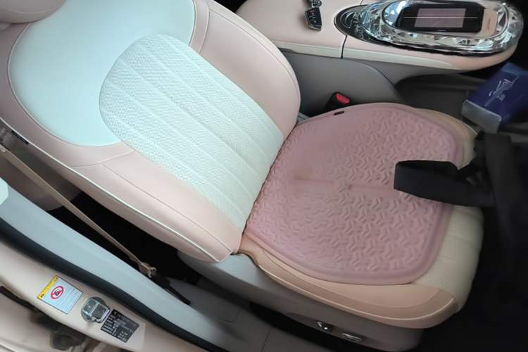 Used ORA Ballet Cat 2022 401 km Nutcracker Edition Right Front Seat