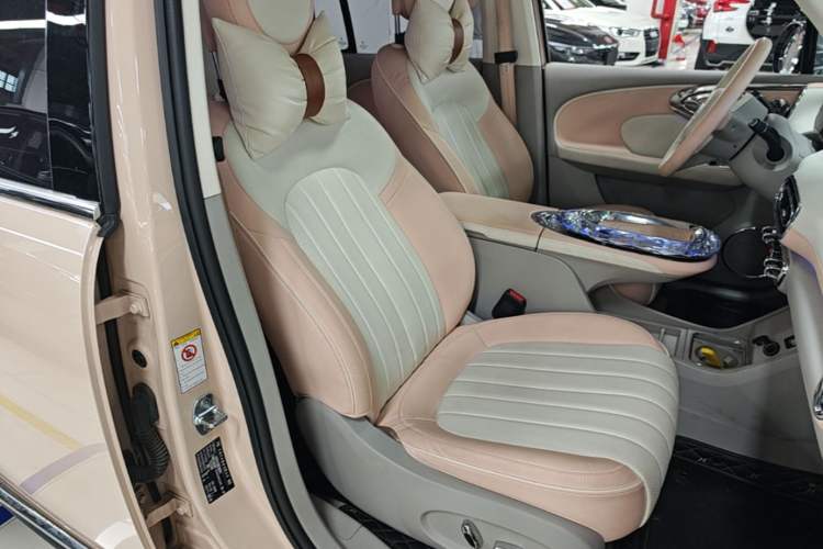 Used ORA Ballet Cat 2022 401 km Nutcracker Edition Right Front Seat