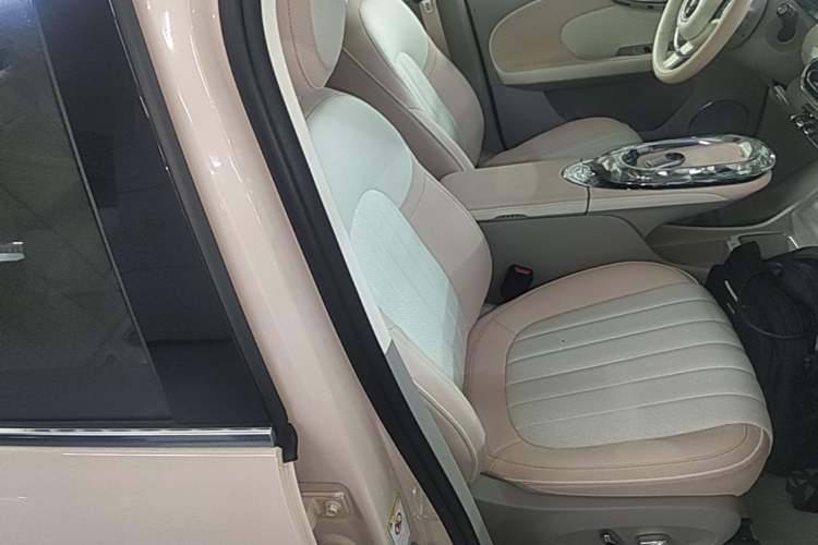 Used ORA Ballet Cat 2022 401 km Nutcracker Edition Right Front Seat