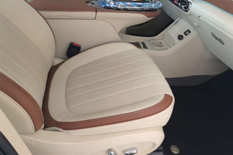 Used ORA Ballet Cat 2022 401 km Nutcracker Edition Right Front Seat