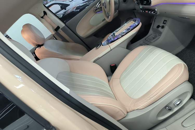 Used ORA Ballet Cat 2022 401 km Alice Edition Right Front Seat