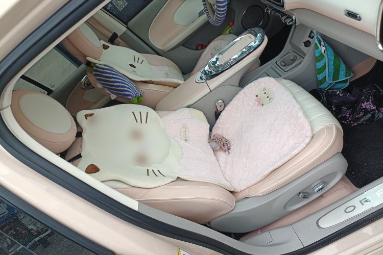Used ORA Ballet Cat 2022 401 km Nutcracker Edition Right Front Seat