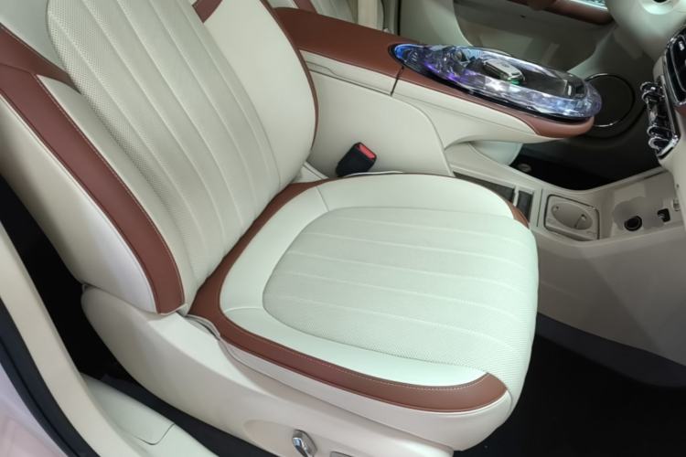 Used ORA Ballet Cat 2022 401 km Nutcracker Edition Right Front Seat