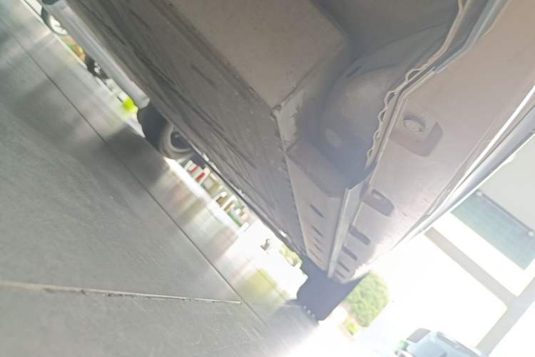 Used ORA Ballet Cat 2022 401 km Nutcracker Edition Right Side Sill