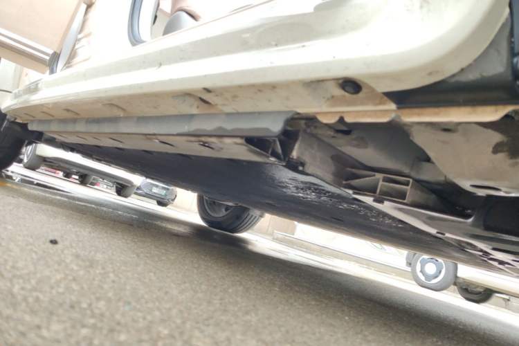 Used ORA Ballet Cat 2022 500 km Swan Lake Edition Right Side Sill