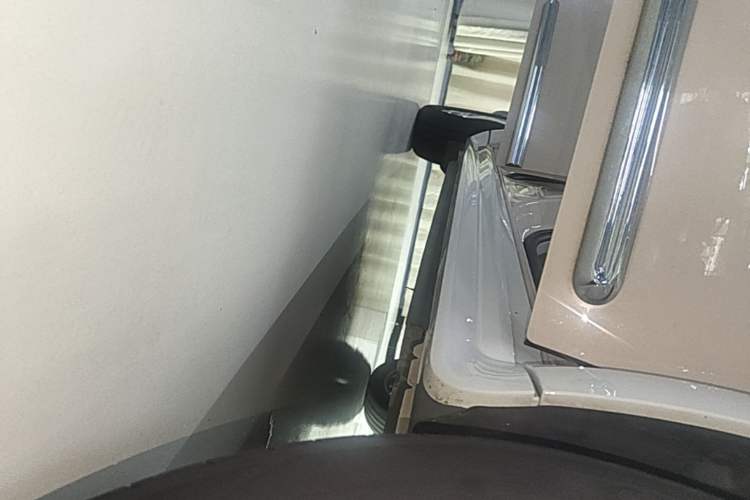 Used ORA Ballet Cat 2022 401 km Nutcracker Edition Right Side Sill